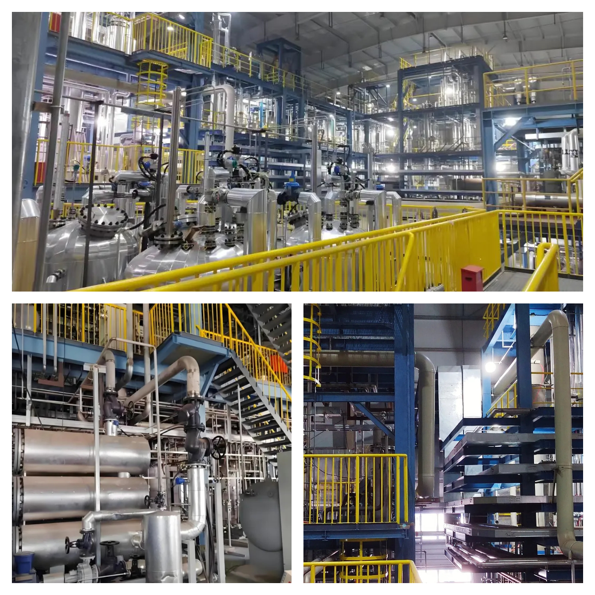 神奇宝贝美女被超污网站